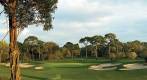Copperhead Golf Club at Innisbrook