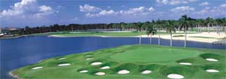 Doral Great White Course