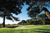 Oak Marsh Golf Club at Amelia