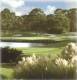 Sawgrass Country Club