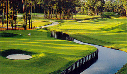 Sawgrass Resort