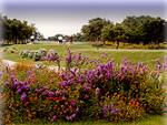 Whitewing Golf Course