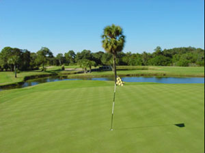 Innisbrook Highlands South Course