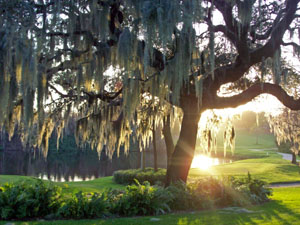 Innisbrook Island Course