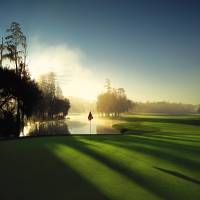 Innisbrook Island Course