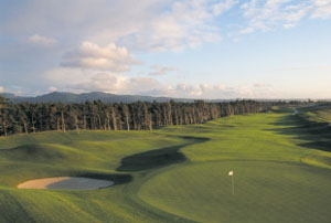 Sand Pines Golf Club