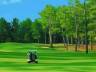 Colo Vista Country Club