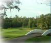 Island Course at Innisbrook