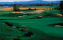 Pumpkin Ridge Golf Club
